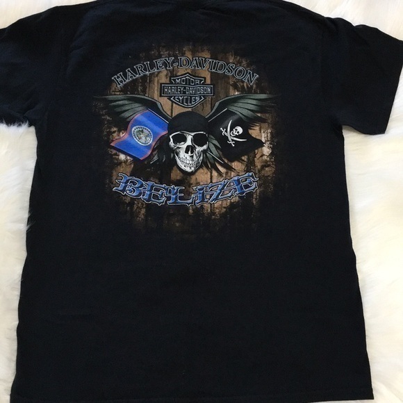 Harley-Davidson t-shirt size M - Picture 2 of 5